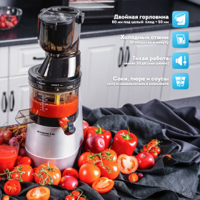 Шнековая соковыжималка RAWMID Vitamin RVJ-02