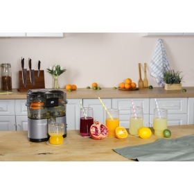 Соковыжималка для цитрусовых RAWMID Mini RMJ-02