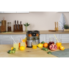 Соковыжималка для цитрусовых RAWMID Mini RMJ-02