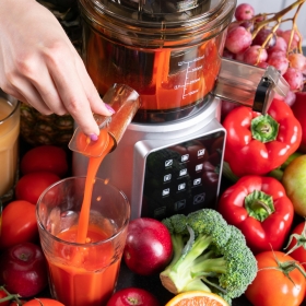 Шнековая соковыжималка RAWMID Dream Juicer Modern JDM-80